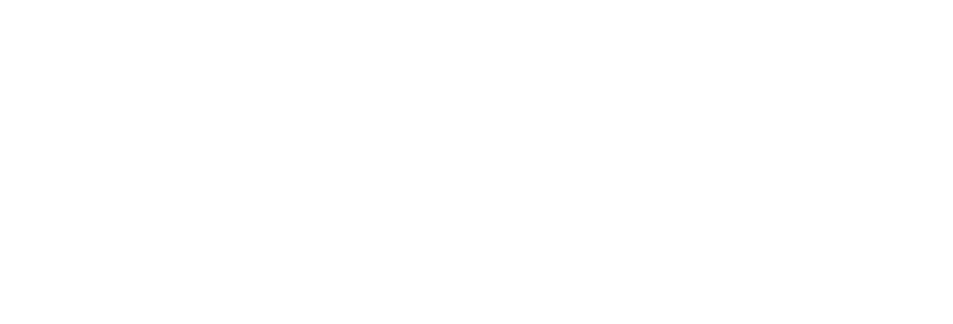 Natasha Ochshorn logo.